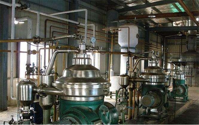 大豆.jpg 大豆.jpg