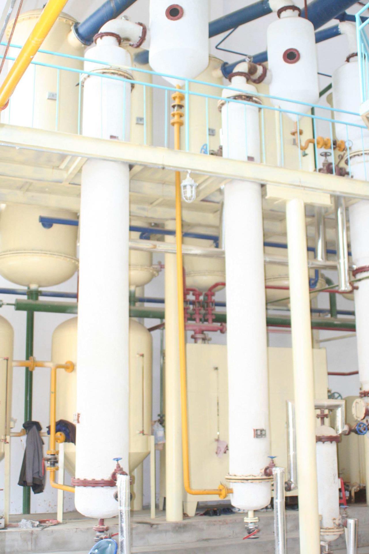 大豆2.jpg 大豆2.jpg