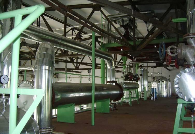 茶籽6.jpg 茶籽6.jpg