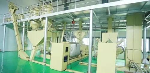 茶籽7.jpg 茶籽7.jpg