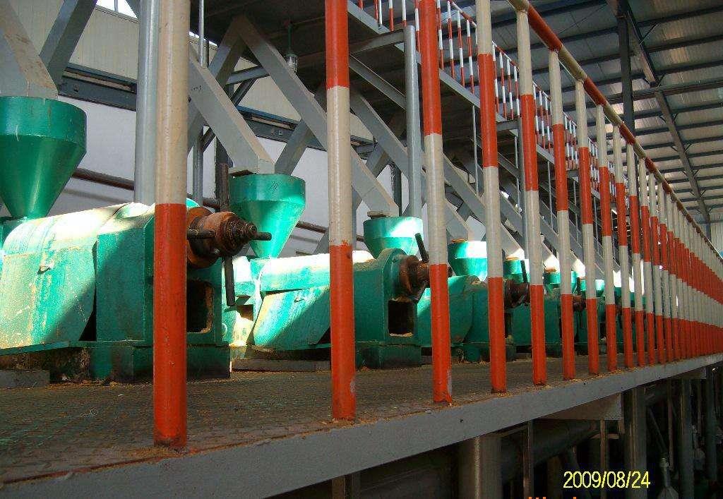 玉米2.jpg 玉米2.jpg